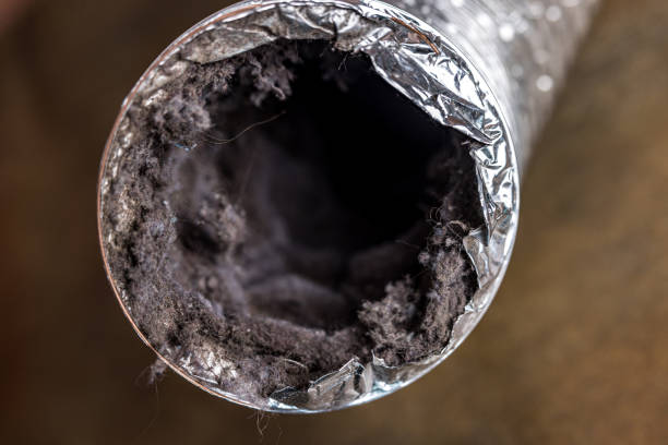 Best HVAC Duct Inspection Services  in Quakertown, PA